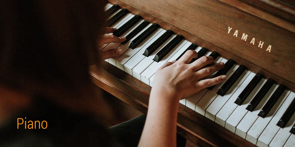 Best Musical instrument shop in TamilNadu Kalyani Musical Centre