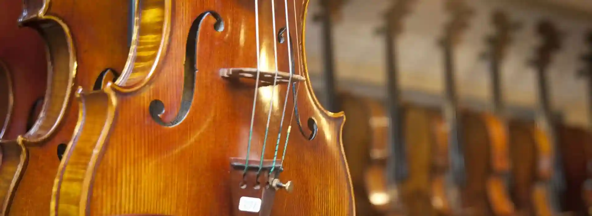 Best Musical instrument shop in TamilNadu Kalyani Musical Centre